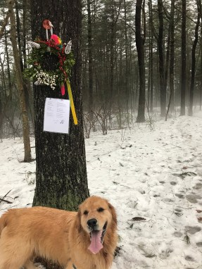 %gt7lkoJQ2uw5Aw9B2DPwg