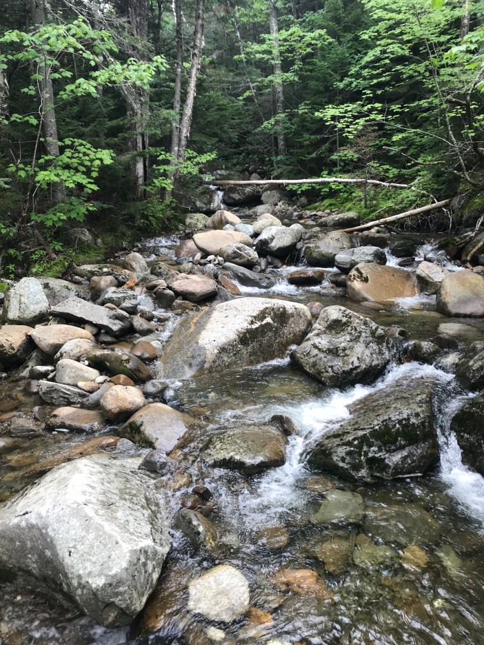 40744AA2-3A60-49B3-986C-BDEB75A82959