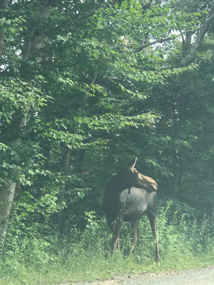 5EB8C1C5-4B61-463C-8A9D-592BFD79CD7C